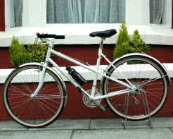 Larry.jpg (259705 bytes)